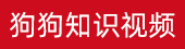 艾灸贴哪个牌子效果好ads2